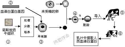 动物胚胎工程 胚胎工程 胚胎工程是一项综合性的动物繁育技术，可在畜牧业和制药业等领域发挥重要作用，下图表示通过胚胎工程培育试