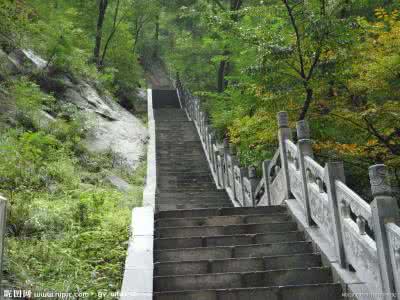 心智成熟才能少走弯路 摄影路漫漫 到底怎样才能少走5年弯路