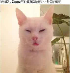 一发不可收拾 这货自从霸占了碗一次之后,从此一发不可收拾...