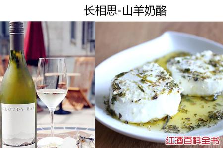 奶酪知识 图解：葡萄酒和奶酪，最佳搭档谁能识？