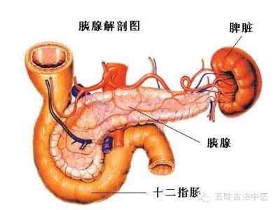 邪气脏腑病形 脏腑病与虚幻的痛
