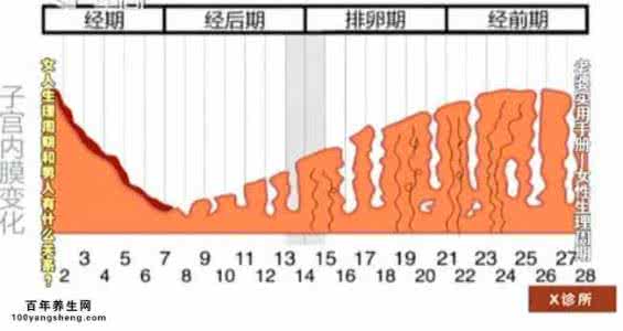 月经24天一次老的快 月经周期24天正常吗