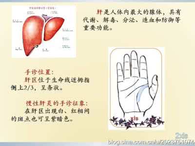 冬季保健知识 手诊保健知识——9、慢性肝炎*