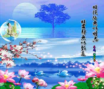 学会宽容 得体淡泊,学会宽容!