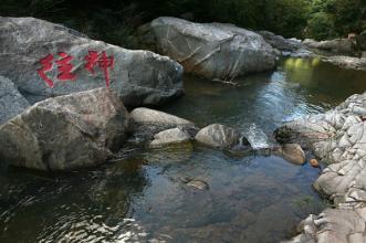 海南文昌椰子大观园 大觀園：【瓊園】【海南060】【太平山】