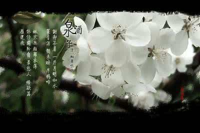 优美的爱情诗歌 十二首意境优美的爱情诗