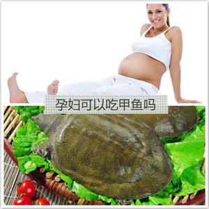 孕妇能吃鳖吗 孕妇能吃鳖吗 有什么效果