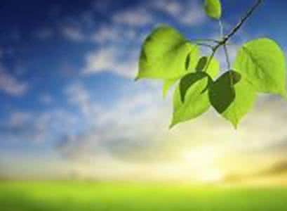 简单到极致 便是大智 简单到极致 便是大智 简单到极致，便是大智！愿你拥有这样的智慧！