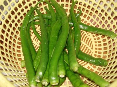 虎皮鹦鹉吃什么蔬菜 虎皮一定要吃蔬菜吗 女人一定要多吃这种蔬菜,它是抗老化之神!