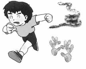 毒蛇咬伤 毒蛇咬伤救治心得