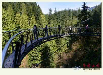 卡皮拉诺吊桥公园 （原创）卡皮拉诺吊桥公园