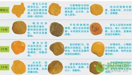 新生儿大便正常次数 新生儿大便次数 新生儿大便次数是多少 几次正常