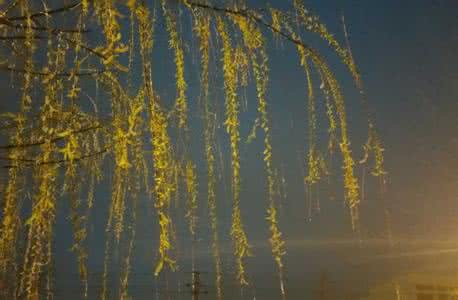 春夜听雨声 春夜听雨