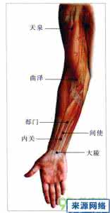 青灵的准确位置图 天泉穴的功效