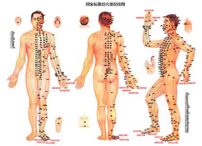 人体经脉分布图及运行 人体穴位图解及经脉