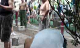 动力定型 动力定型 铁砂掌的标准动力定型和铁砂掌使用手法与攻击部位