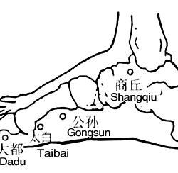 健康快乐动起来 健康动起来:穴以智用 第三季---养眼、肩颈、手肘、腰疼、腿脚(李智)