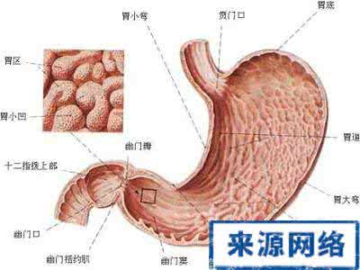 慢性胃炎浅表性胃炎 浅表性胃炎胃部隐痛 5种方法呵护胃部健康 远离慢性胃炎困扰