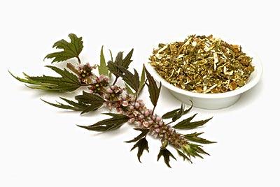 中医中药治疗房颤 中医中药治疗高血压