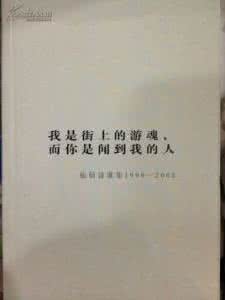 我是街上的游魂 伍佰 我是街上的游魂，你是闻到我的人