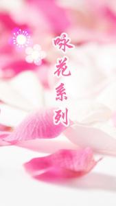 纯美音乐 【纯美音乐】心灵音乐（50首）