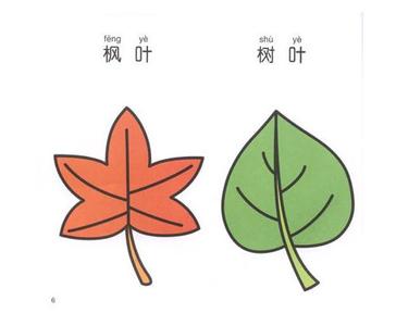 树叶字体 树叶我想对你说 484字 投稿：傅濬濭
