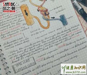 招教考试学霸手写笔记 学霸笔记 | 一本在手，考试不愁！你的笔记属于哪一类型？