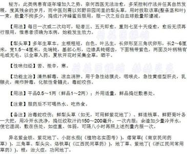 犁头草真能治白血病吗 白血病十天真能神奇痊愈（图解犁头草汤）