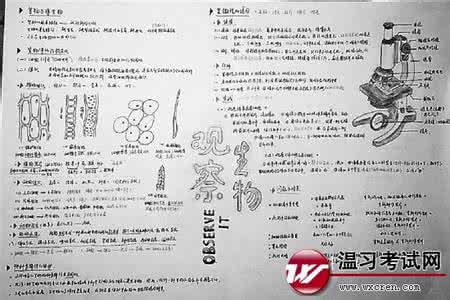 健康之路笔记 图解：健康笔记丨每个医生都应掌握的临床计算公式