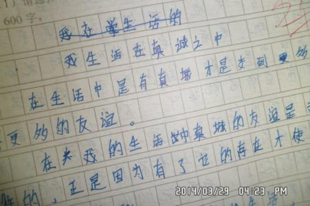 分分分 学生的命根 分分分，学生的命根！作文700字
