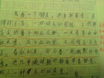 描写人物的作文 作文精选-描写人物类