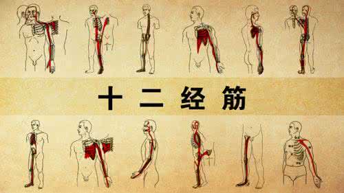 缩骨病 筋缩百种骨病生  从根解开靠自己