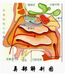 有效治疗鼻窦炎 治疗鼻窦炎的外用方★★★临床的确有效的方剂
