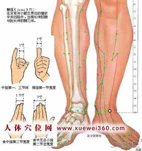 肾经 万能穴查询 【肾经】