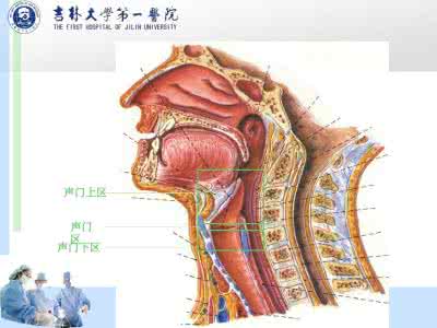 喉癌发病率 喉癌是什么原因引起的 喉癌的发病原因