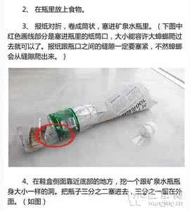 捉蟑螂神器 矿泉水瓶 矿泉水瓶+报纸=捕蟑螂神器？靠谱！