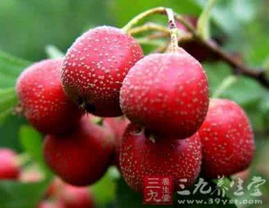 健康校园 美丽心灵 小小山楂美丽健康