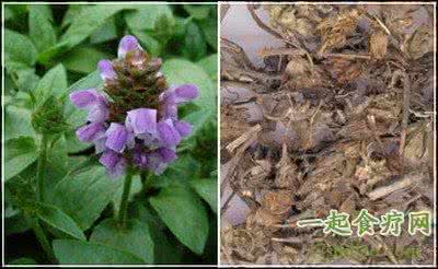 中草药夏枯草 抗癌中草药：夏枯草