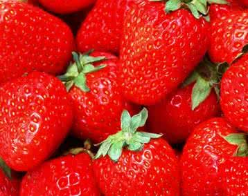 草莓结果期管理 温室草莓采果期管理