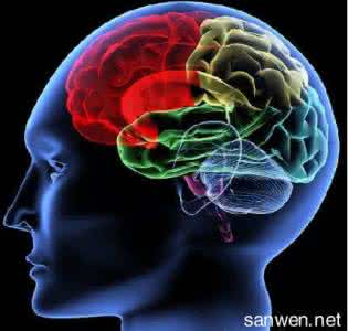 天才的八种的思维方式 揭秘成功者的10种思维方式