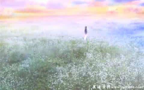 爱情情感美文 短文 绝 爱【情感美文】