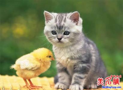 有文化高雅内涵的网名 充满意境的好名字 :有文化内涵及出处的名字大全