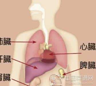 小暑大暑处暑 大暑养好这三处 健康一整年