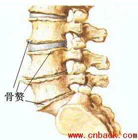 祖传的颈椎病特效秘方 颈椎病特效秘方30 治颈椎增生秘方--千年秘方
