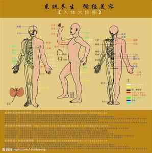 网易公开课 经络穴位公开课6a