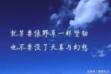 爱我就别想太多 人活着,都有苦衷,别想太多,别奢求太多,谁也不靠,靠自己才是正道!!