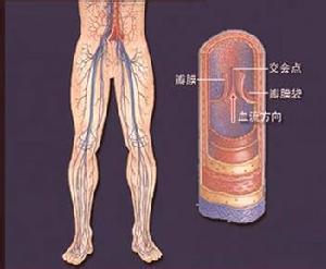 艾滋病肌肉游走性跳动 什么是肌肉游走性跳动？