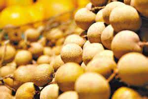 怎样挑选新鲜龙眼 怎样存放新鲜龙眼? *