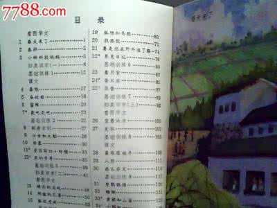 人教版小学语文第四册 小学语文第四册语文教学计划