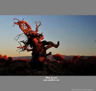 人生一世有炎凉 人生的炎凉百态，是历练一个人的心地